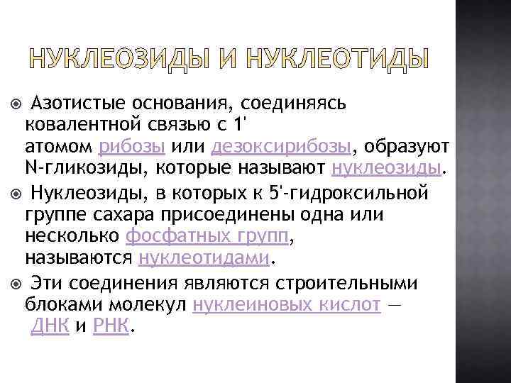Азотистые основания, соединяясь ковалентной связью с 1' атомом рибозы или дезоксирибозы, образуют N-гликозиды, которые