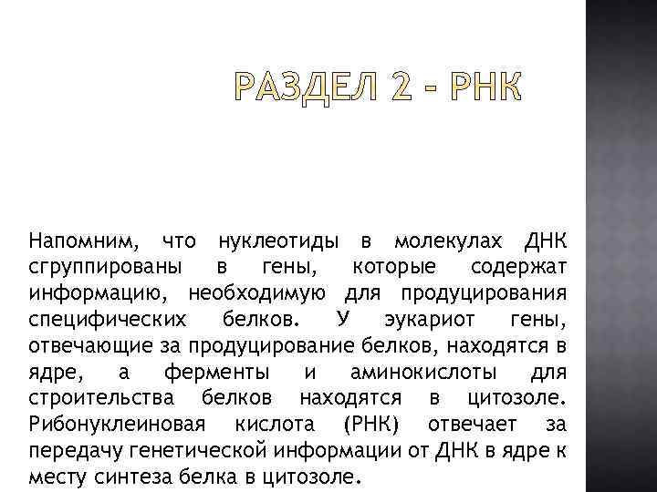 Напомним, что нуклеотиды в молекулах ДНК сгруппированы в гены, которые содержат информацию, необходимую для