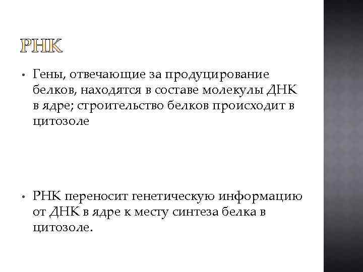  • Гены, отвечающие за продуцирование белков, находятся в составе молекулы ДНК в ядре;