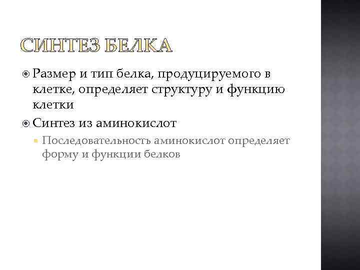  Размер и тип белка, продуцируемого в клетке, определяет структуру и функцию клетки Синтез