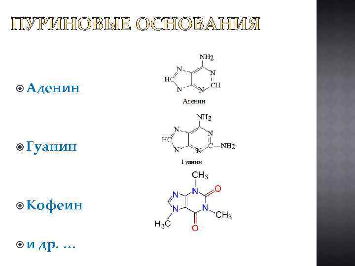  Аденин Гуанин Кофеин и др. … 