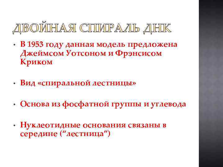  • В 1953 году данная модель предложена Джеймсом Уотсоном и Фрэнсисом Криком •