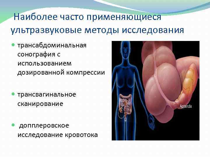 Наиболее часто применяющиеся ультразвуковые методы исследования трансабдоминальная сонография с использованием дозированной компрессии трансвагинальное сканирование