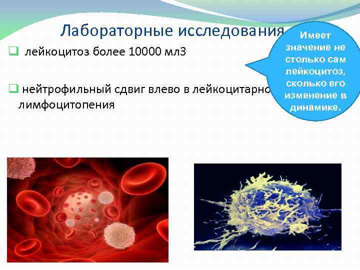 Лабораторные исследования Имеет значение не q лейкоцитоз более 10000 мл 3 столько сам лейкоцитоз,