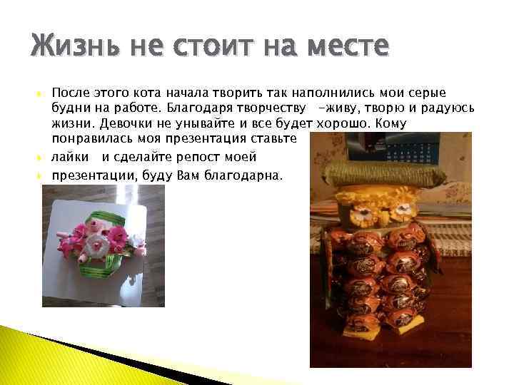 Жизнь не стоит на месте После этого кота начала творить так наполнились мои серые