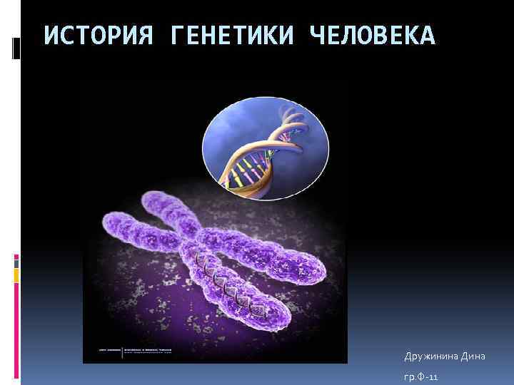 История генетики презентация 10 класс. История генетики. Генетическая история человека. История генетика для детей. История генетики презентация.