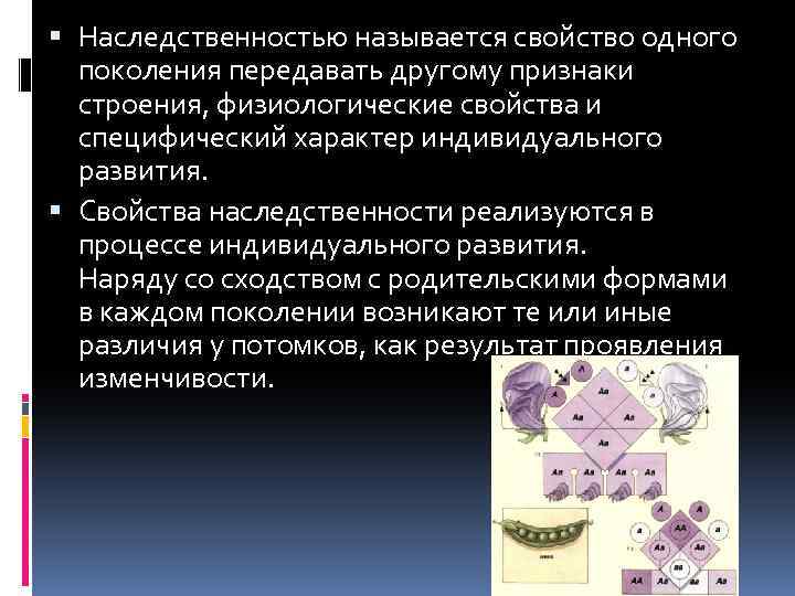  Наследственностью называется свойство одного поколения передавать другому признаки строения, физиологические свойства и специфический