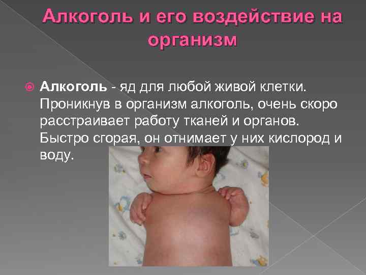 Алкоголь и его воздействие на организм Алкоголь - яд для любой живой клетки. Проникнув