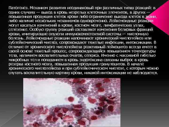 Патогенез. Механизм развития неодинаковый при различных типах реакций: в одних случаях — выход в