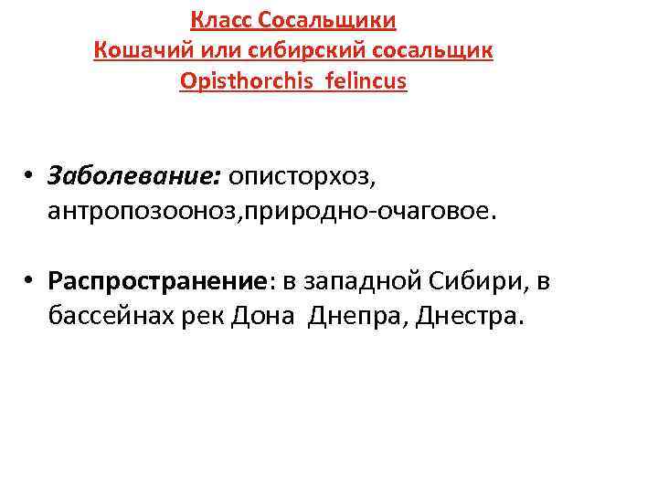 Класс Сосальщики Кошачий или сибирский сосальщик Opisthorchis felincus • Заболевание: описторхоз, антропозооноз, природно-очаговое. •