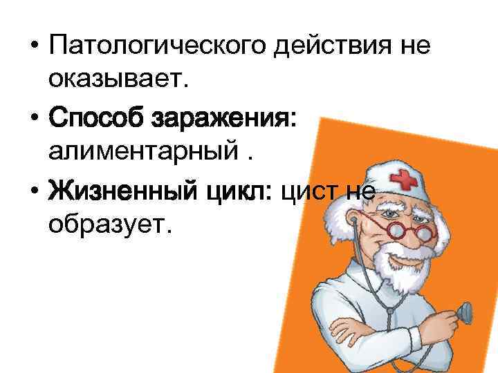  • Патологического действия не оказывает. • Способ заражения: алиментарный. • Жизненный цикл: цист