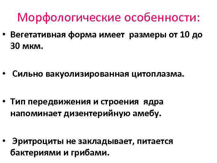 Морфологические особенности: • Вегетативная форма имеет размеры от 10 до 30 мкм. • Сильно