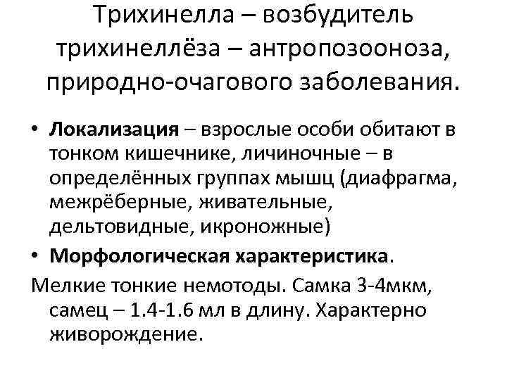 Трихинелла – возбудитель трихинеллёза – антропозооноза, природно-очагового заболевания. • Локализация – взрослые особи обитают