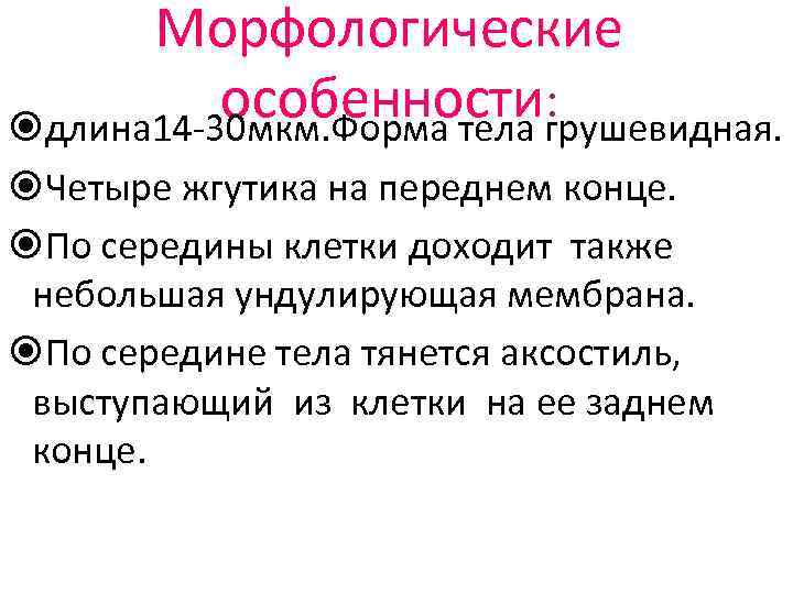 Морфологические особенности: длина 14 -30 мкм. Форма тела грушевидная. Четыре жгутика на переднем конце.