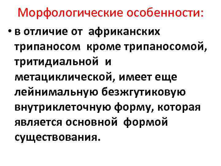 Морфологические особенности: Морфологические • в отличие от африканских трипаносом кроме трипаносомой, тритидиальной и метациклической,