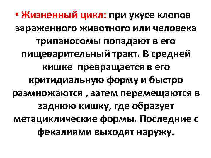  • Жизненный цикл: при укусе клопов зараженного животного или человека трипаносомы попадают в