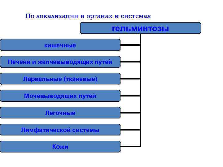 По локализации в органах и системах гельминтозы кишечные Печени и желчевыводящих путей Ларвальные (тканевые)