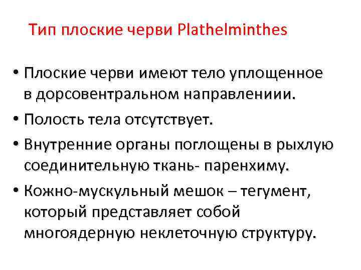 Тип плоские черви Plathelminthes • Плоские черви имеют тело уплощенное в дорсовентральном направлениии. •