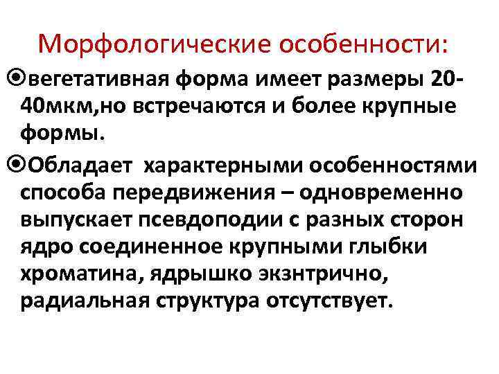 Морфологические особенности: вегетативная форма имеет размеры 2040 мкм, но встречаются и более крупные формы.