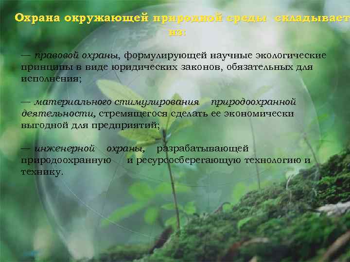 Окружающая среда доклад. Основные принципы окружающей среды. Принципы правовой охраны окружающей среды. Концепция охраны окружающей среды. Основные способы охраны природной среды.