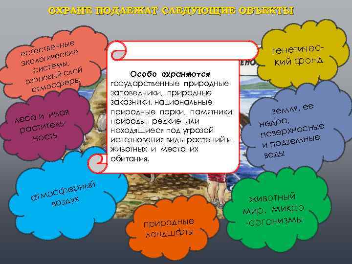 ОХРАНЕ ПОДЛЕЖАТ СЛЕДУЮЩИЕ ОБЪЕКТЫ : ные ствен кие есте ичес ог экол темы, сис