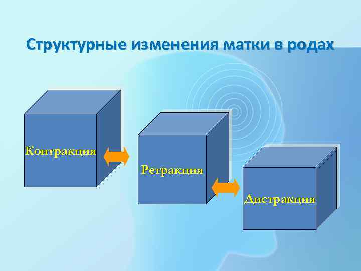 Структурные изменения матки в родах Контракция Ретракция Дистракция 