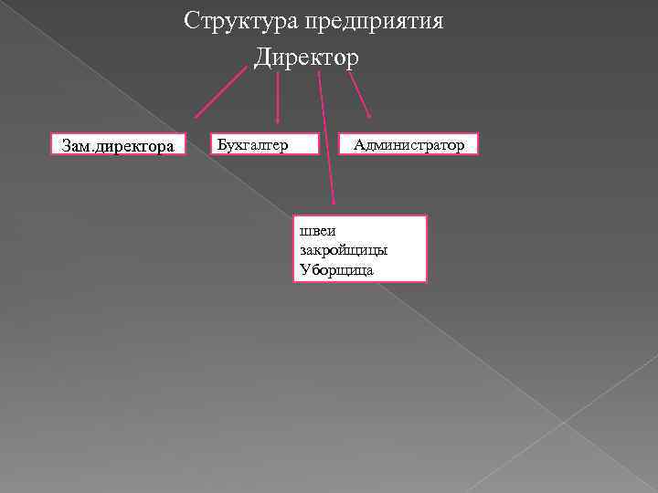 Структура предприятия Директор Зам. директора Бухгалтер Администратор швеи закройщицы Уборщица 