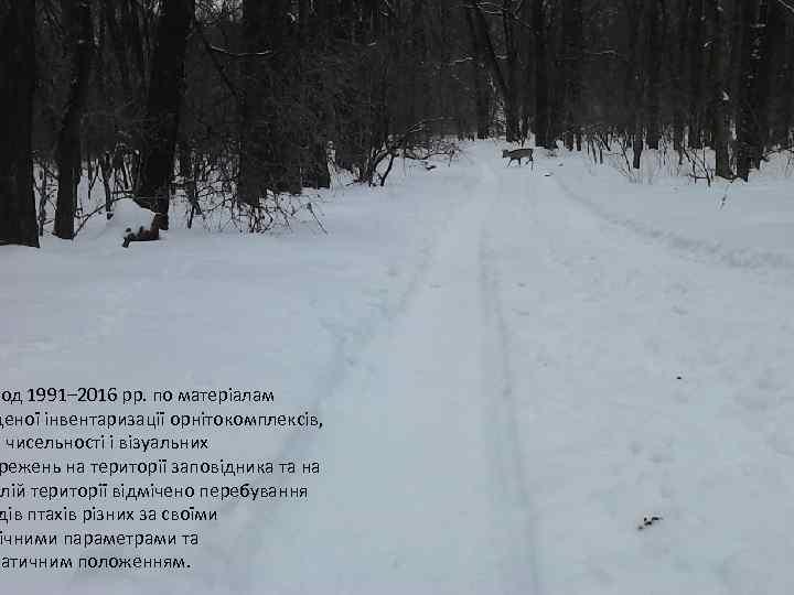 іод 1991– 2016 рр. по матеріалам деної інвентаризації орнітокомплексів, в чисельності і візуальних режень