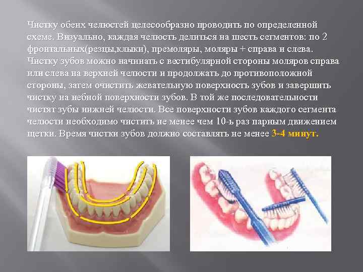 Чистку обеих челюстей целесообразно проводить по определенной схеме. Визуально, каждая челюсть делиться на шесть