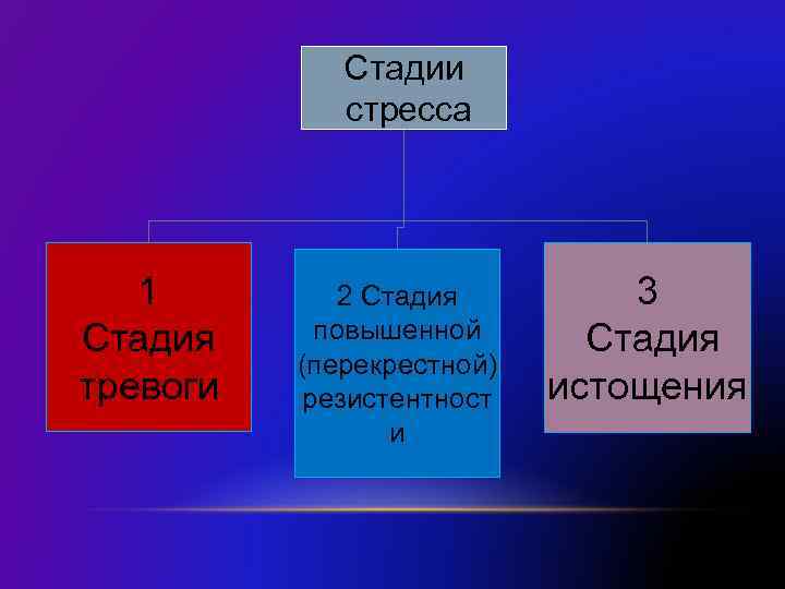 Стадии стресса 1 Стадия тревоги 2 Стадия повышенной (перекрестной) резистентност и 3 Стадия истощения