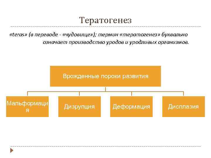 Тератогенез «teras» (в переводе - «чудовище» ); термин «тератогенез» буквально означает производство уродов и