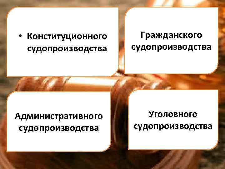 Презентация по обществознанию 11 класс конституционное судопроизводство