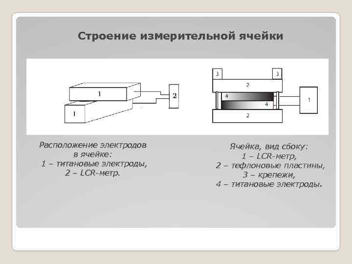 Холтер расположение электродов фото