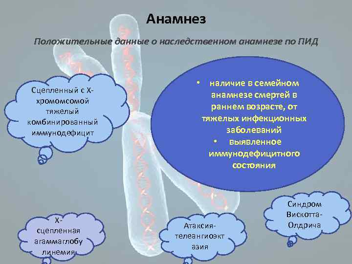 Анамнез Положительные данные о наследственном анамнезе по ПИД Сцепленный с Ххромомсомой тяжелый комбинированный иммунодефицит