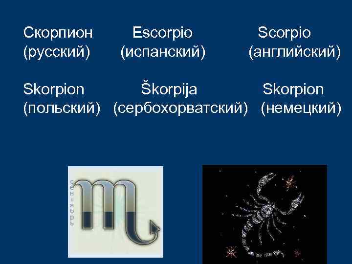 Скорпион (русский) Escorpio (испанский) Scorpio (английский) Skorpion Škorpija Skorpion (польский) (сербохорватский) (немецкий) 