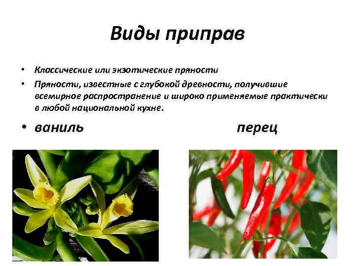 Виды приправ • Классические или экзотические пряности • Пряности, известные с глубокой древности, получившие