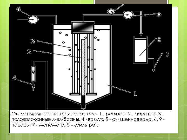 Схема мембранного биореактора: 1 - реактор, 2 - аэратор, 3 половолоконные мембраны, 4 -