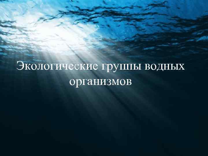 Экологические группы водных организмов 