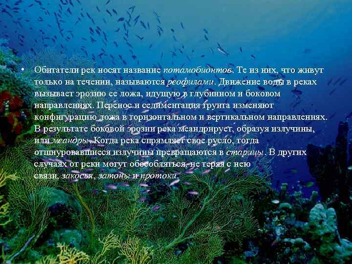  • Обитатели рек носят название потамобионтов. Те из них, что живут только на