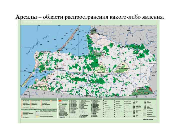 Ареалы – области распространения какого-либо явления. 