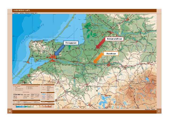 Внемасштабные Площадные Линейные 