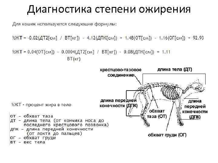 Диагностика степени ожирения 