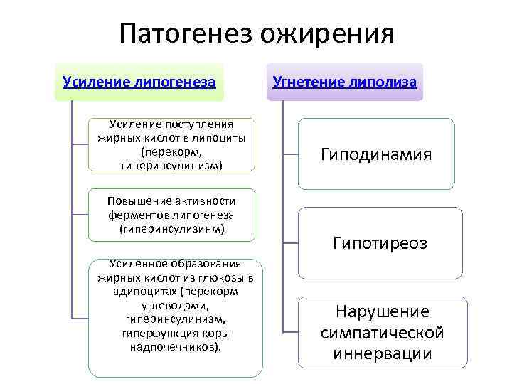 Патогенез ожирения Усиление липогенеза Усиление поступления жирных кислот в липоциты (перекорм, гиперинсулинизм) Повышение активности