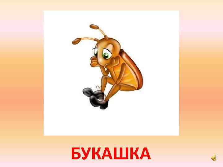 БУКАШКА 