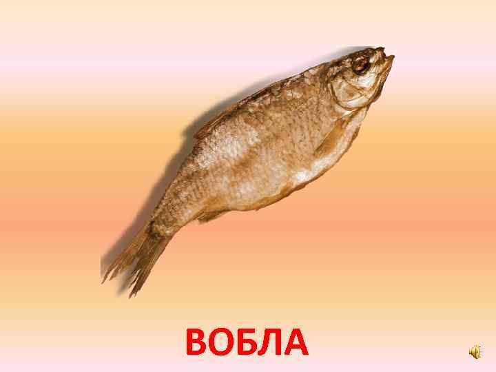 ВОБЛА 