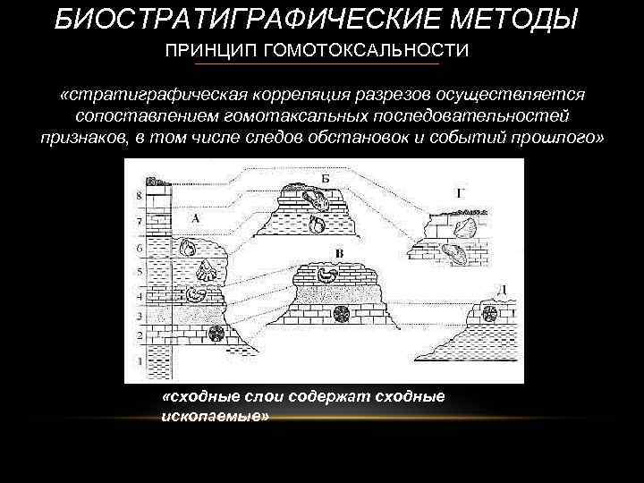 БИОСТРАТИГРАФИЧЕСКИЕ МЕТОДЫ ПРИНЦИП ГОМОТОКСАЛЬНОСТИ «стратиграфическая корреляция разрезов осуществляется сопоставлением гомотаксальных последовательностей признаков, в том