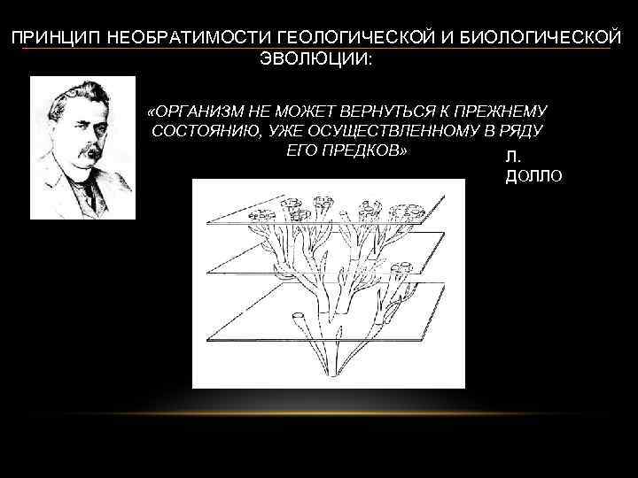 ПРИНЦИП НЕОБРАТИМОСТИ ГЕОЛОГИЧЕСКОЙ И БИОЛОГИЧЕСКОЙ ЭВОЛЮЦИИ: «ОРГАНИЗМ НЕ МОЖЕТ ВЕРНУТЬСЯ К ПРЕЖНЕМУ СОСТОЯНИЮ, УЖЕ