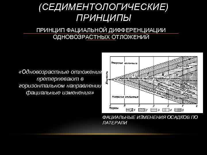 (СЕДИМЕНТОЛОГИЧЕСКИЕ) ПРИНЦИПЫ ПРИНЦИП ФАЦИАЛЬНОЙ ДИФФЕРЕНЦИАЦИИ ОДНОВОЗРАСТНЫХ ОТЛОЖЕНИЙ «Одновозрастные отложения претерпевают в горизонтальном направлении фациальные