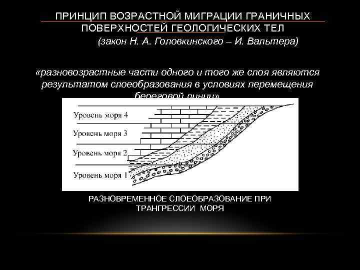 Возрастной принцип. Принцип миграции граничных поверхностей. Возрастные миграции животных. Возрастная миграция примеры. Принцип Головкинского Геология.