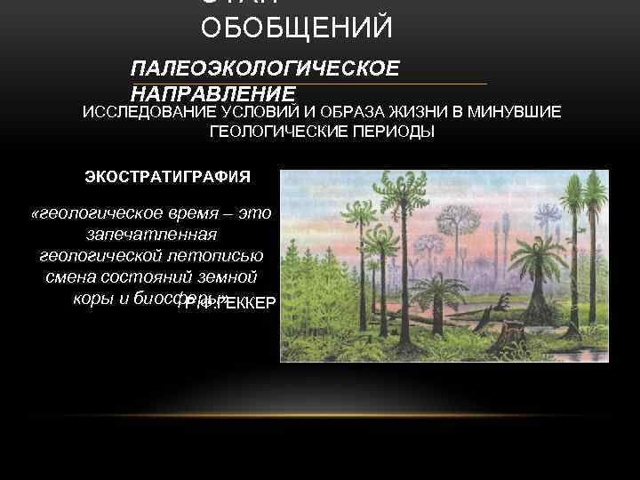 ЭТАП ОБОБЩЕНИЙ ПАЛЕОЭКОЛОГИЧЕСКОЕ НАПРАВЛЕНИЕ ИССЛЕДОВАНИЕ УСЛОВИЙ И ОБРАЗА ЖИЗНИ В МИНУВШИЕ ГЕОЛОГИЧЕСКИЕ ПЕРИОДЫ ЭКОСТРАТИГРАФИЯ